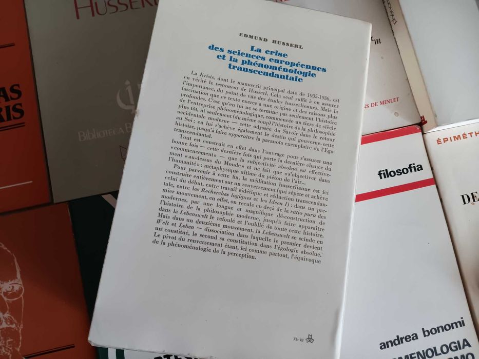 Husserl e Merleau-Ponty Livros Desde 5€