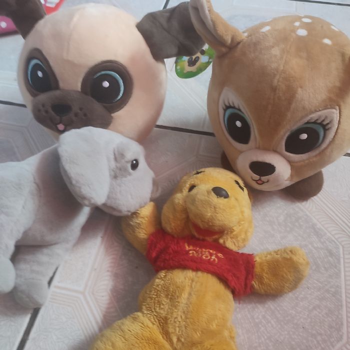 Maskotki misie pieski