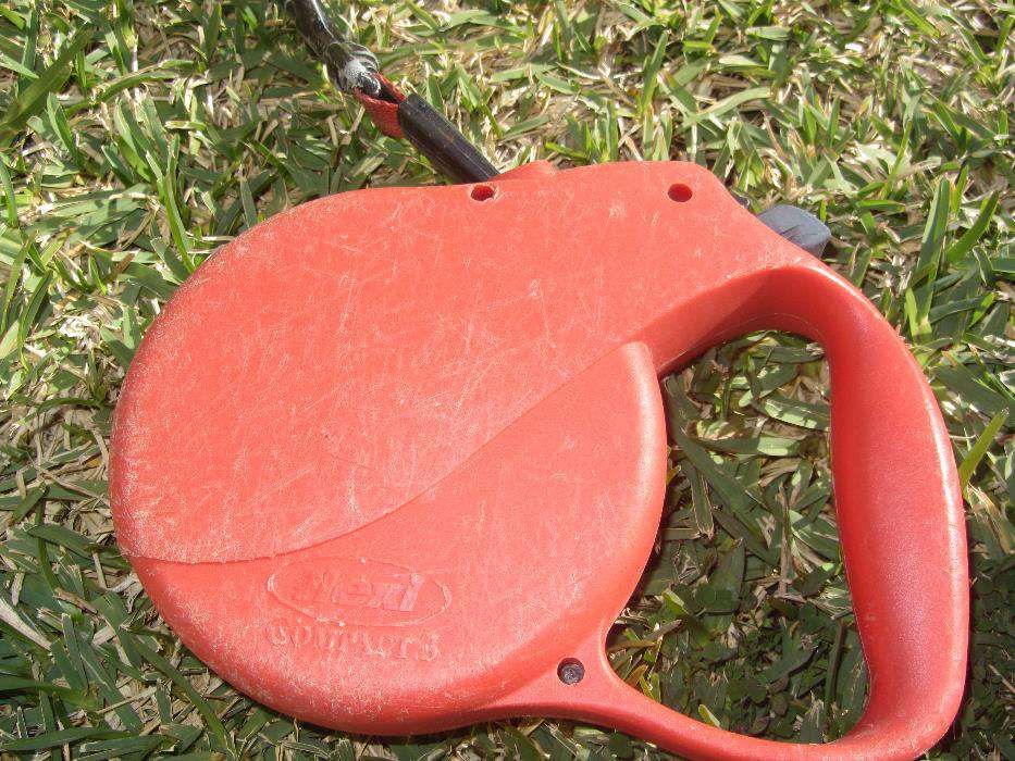 Trela extensível para cão grande FLEXI 3