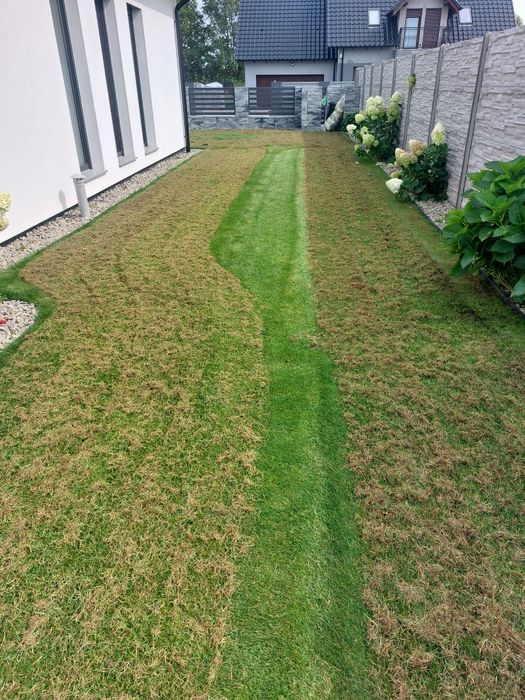 Aeracja z wykorkiem piaskowanie wertykulacja trawnikow