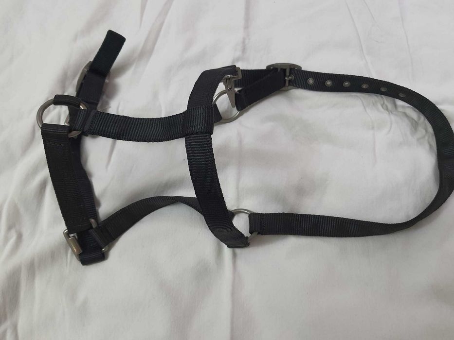 akcesoria dla koni kantar