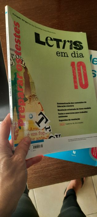 Cadernos de fichas 10 ano