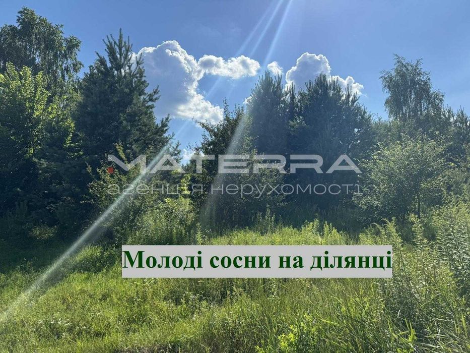 Круглик - Віта-Поштова Продаж ділянки 32.4 сотки з соснами