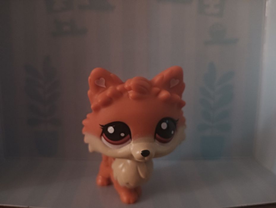Pet shop little lps