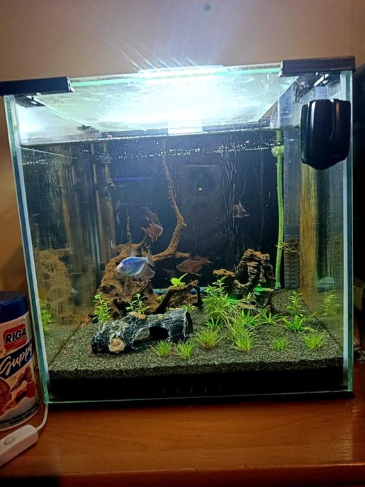 Akwarium kostka 30l optiwhite