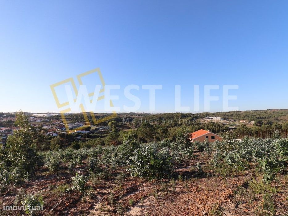 Rustic Land Plot of 3810 m² with Construction Feasibility, Excellent Orientation...