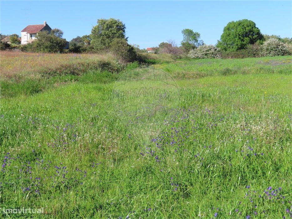 Quinta T2 para venda