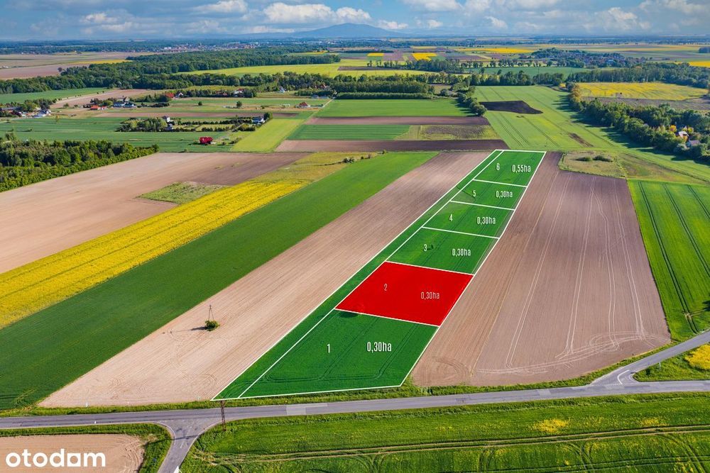 Działki siedliskowe w Bogdaszowicach