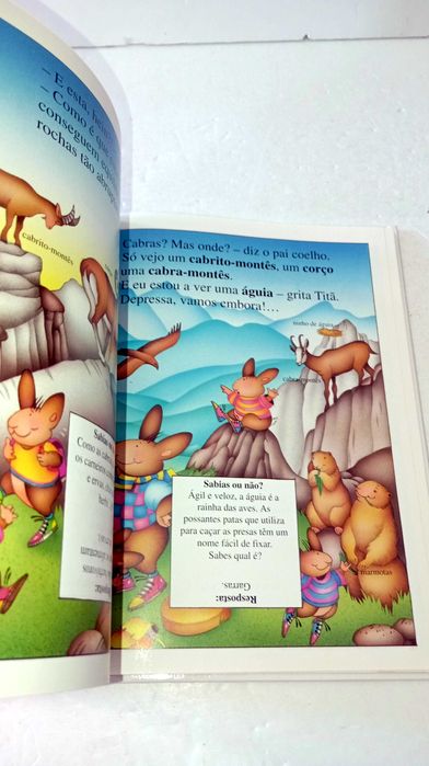 Os Coelhinhos... descobrem a montanha