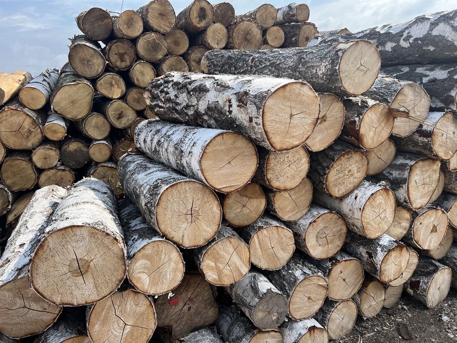Drewno opałowe walki brzozowe liściaste kominkowe