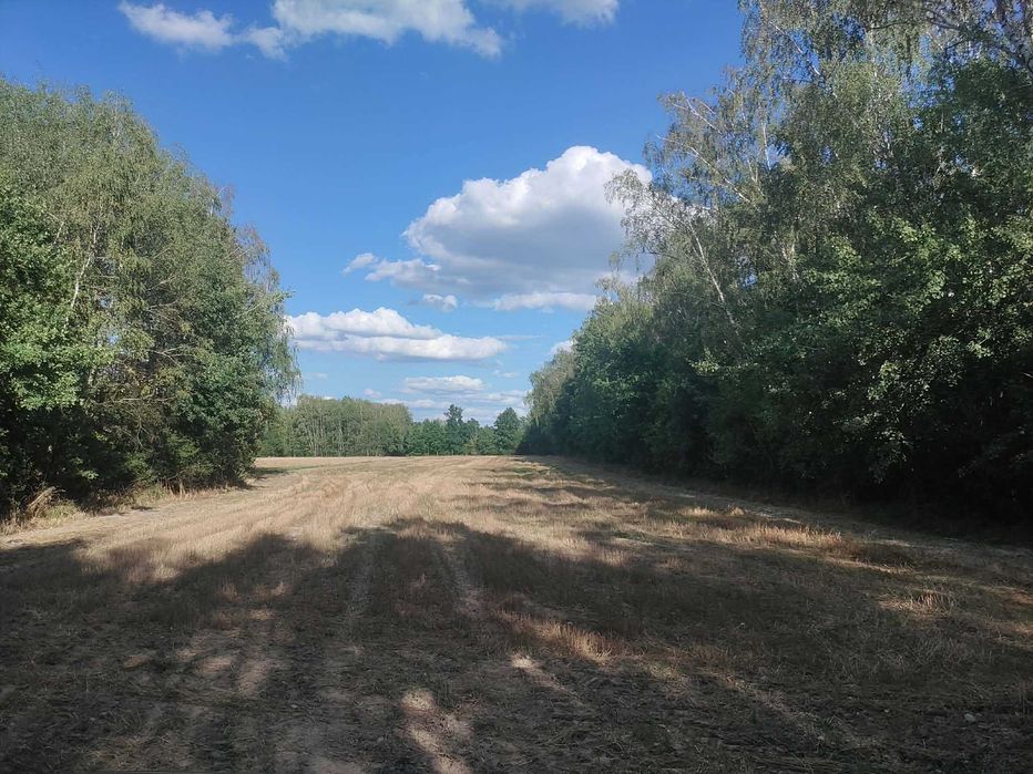 Sprzedam działkę w miejscowości  Chruślice gm. Wolanów | pow. radomski 1.14h