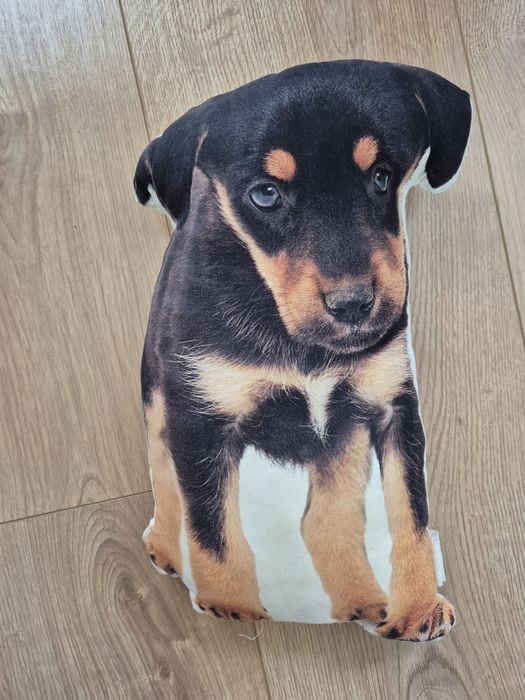Poduszka pies piesek maskotka 34 cm używana