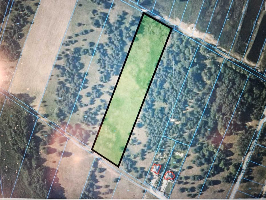 Działka budowlano-rolna 1,1 ha w Łabędziowie gm. Morawica - Widok 6