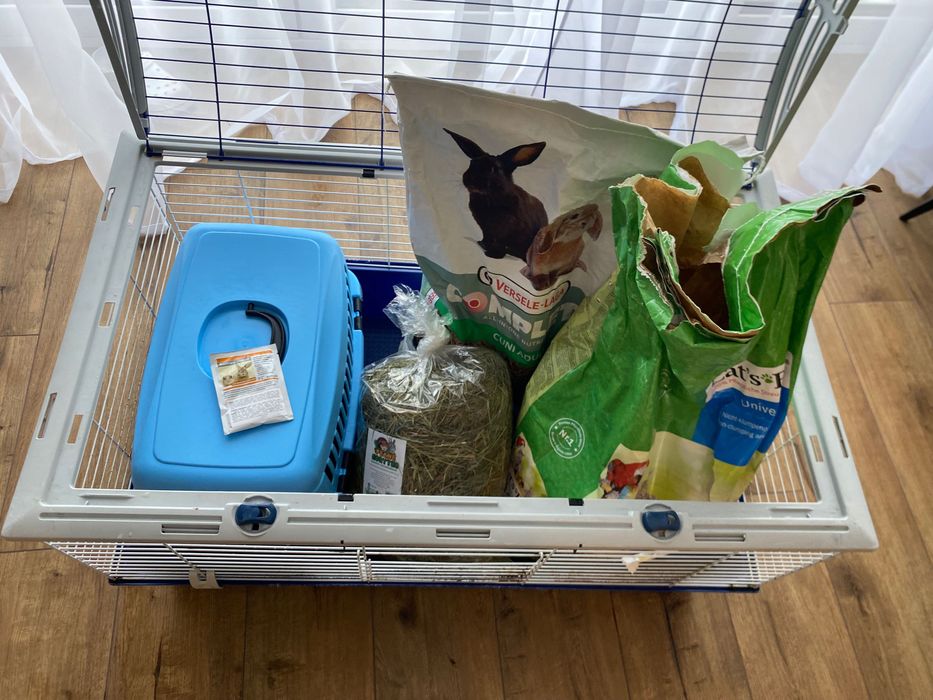 Wyprawka dla królika