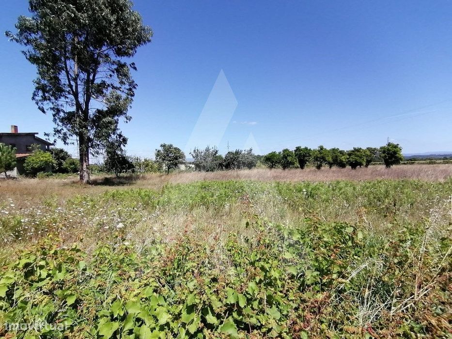 Lote de terreno para construção em Aveiro