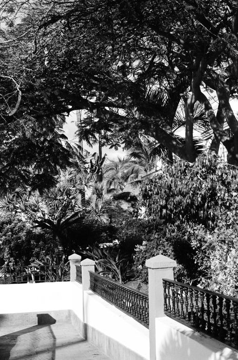 Olympus OM40 Program