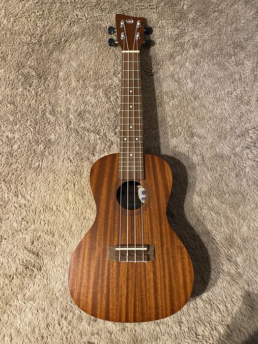 Ukulele concerto com saco + jogo de cordas