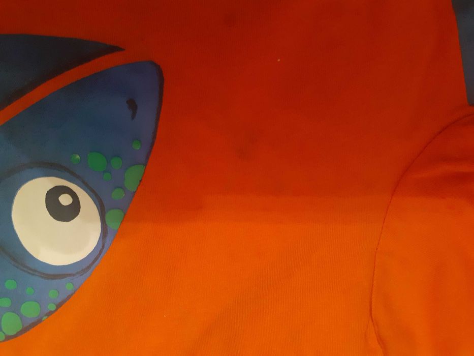 zestaw bluzek krótki rękaw  r. 116