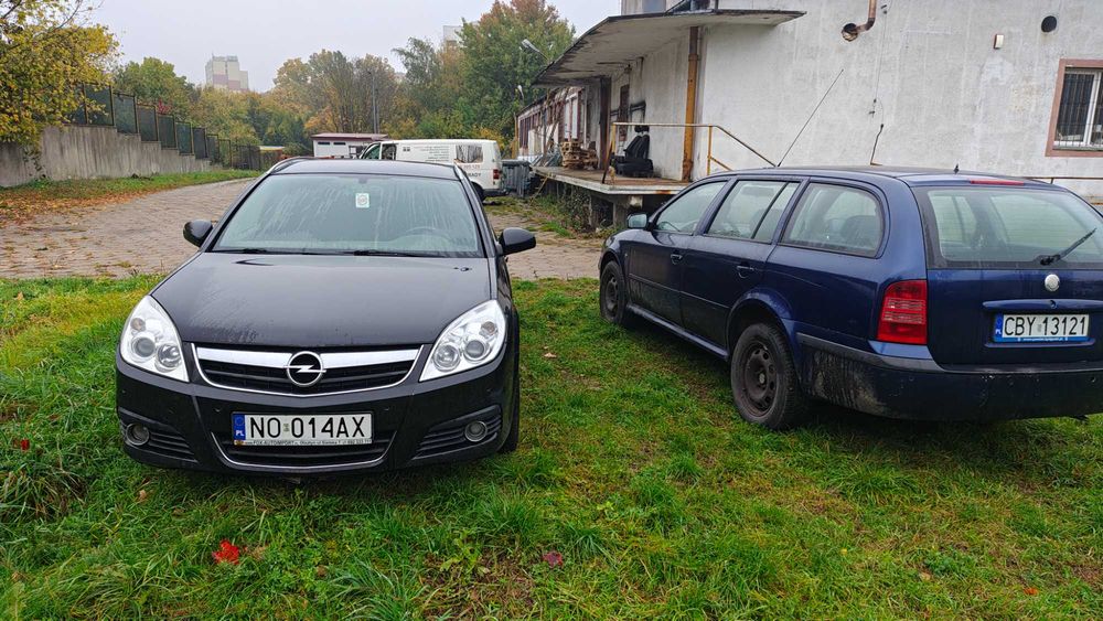 Opel Signum