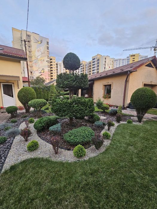 ОЗЕЛЕННЯ ДІЛЯНКИ. Посадка, Стрижка туй та чистка дерев .