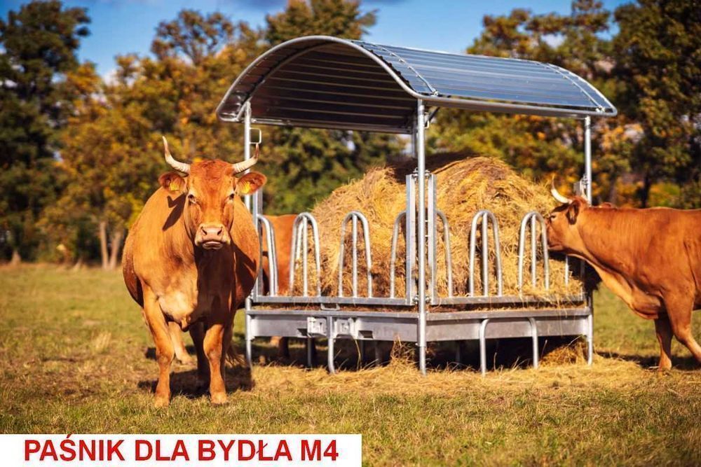 Paśnik dla koni bydła krów opasów alpak