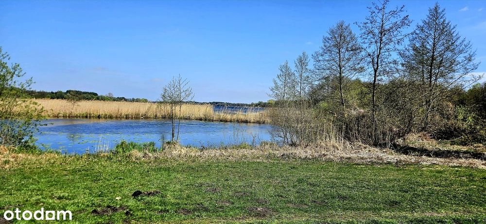 Dom nad samym jeziorem Głuszyńskim - 1 linia brzegowa