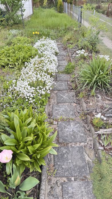 Prawa do dzialki ROD 400 m2 Koninko