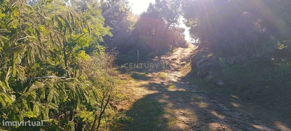 Terreno agrícola em solarenga encosta de Santa Marinha do Zêzere, Baiã