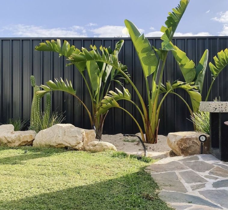 Projetos e Execução de Espaços Verdes