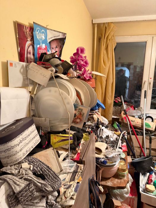 Czyszczenie tapicerki, kostki brukowej i elewacji