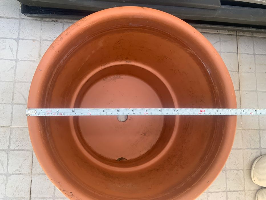 Vasos para plantas