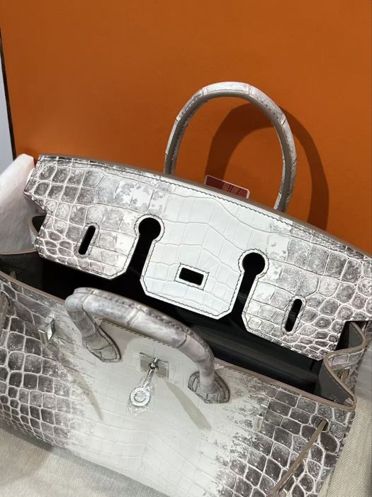 Hermes Birkin 25 Himalaya