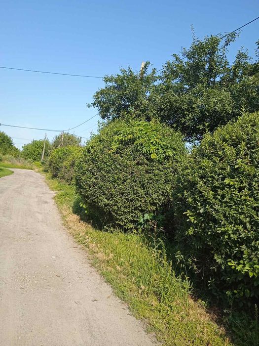 Срочно Хозяйка продаст дом