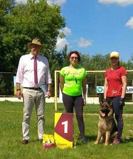 Бронювання Цуценята німецької вівчарки