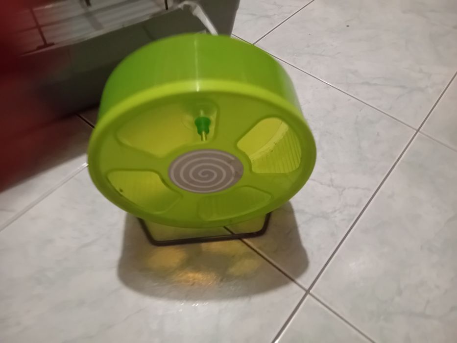 Kit de gaiola  para porcos da india