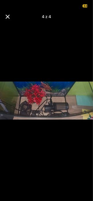 Sprzedam akwarium 45L