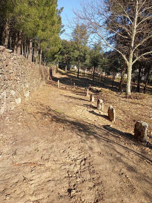 Casa estilo bangalô