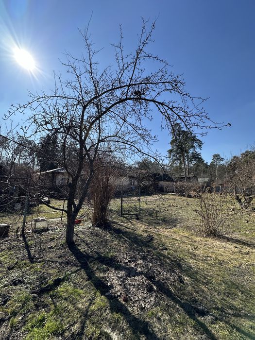 Продаж будинок у Ворзелі