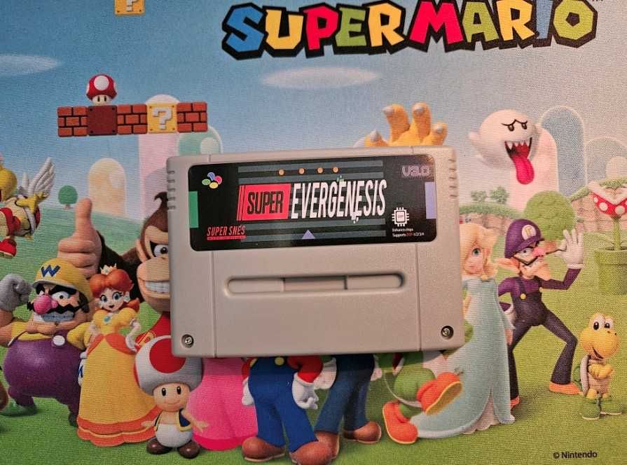 Nagrywarka SNES Super Everdrive Evergenesis V3.1 DSP micro SD NOWA