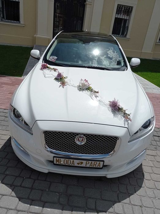 Piękny i komfortowy Jaguar XJL - Auto Na Wesele