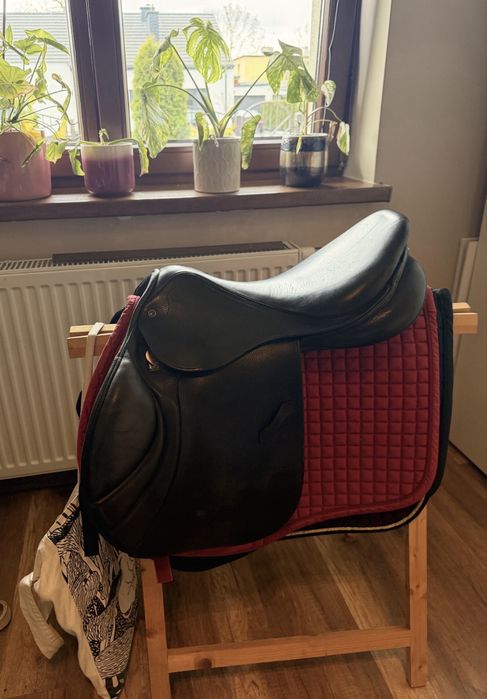 Profesjonalne dopasowanie siodeł Saddlefitting dolnośląskie