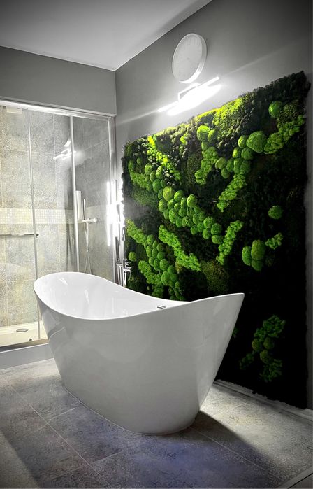 Panel z mchu zielone ściany mech chrobotek panele z mchu żywy mech