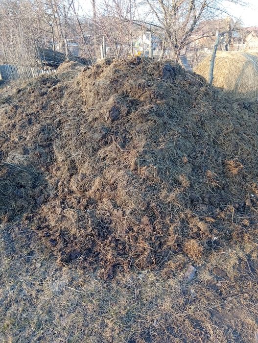 Продам навоз коров'ячий автомобільний прицеп 500 гр кількість необмеже