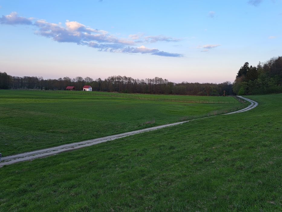 Domek letniskowy nad rzeką Wel