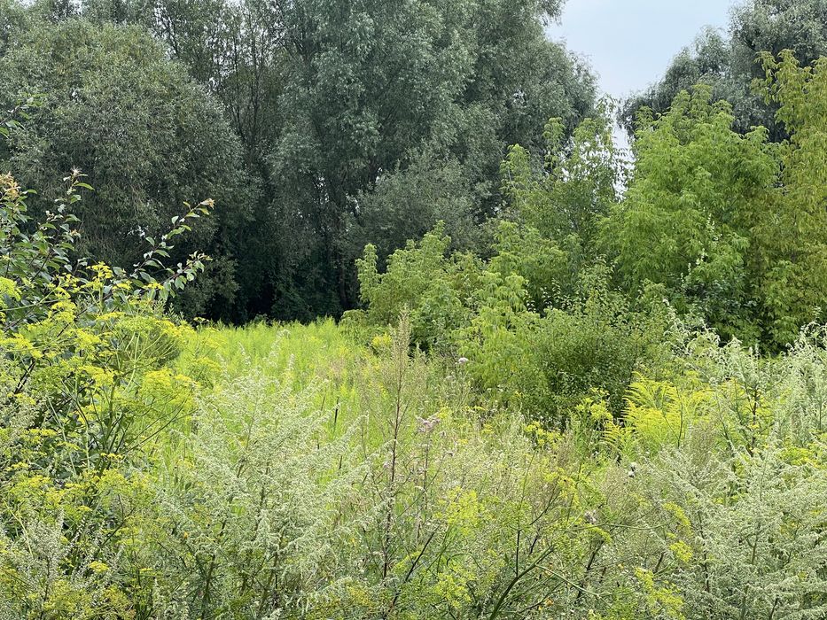 Пр зем12сЗазимье село в природном тихом месте