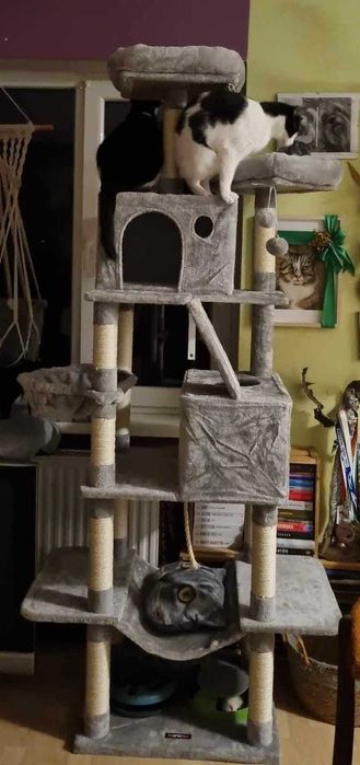 Drapak dla kota GIGANT nowy Wysoki 7 poziomów legowisko słupek domek