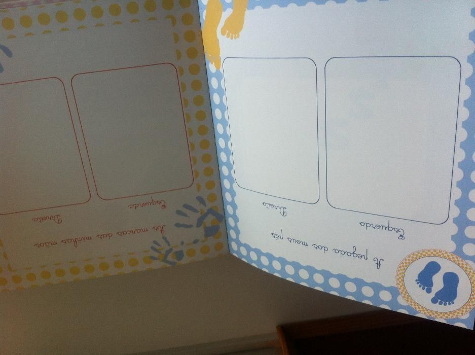 Livros - Maternidade _ Diários