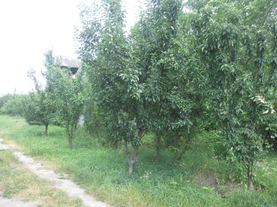 Будинок Глибочиця