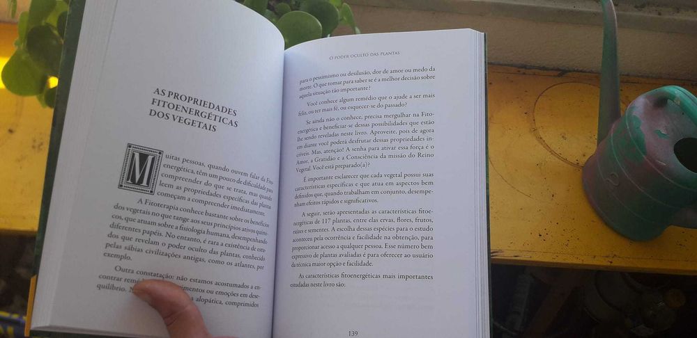 Vendo livro FITOENERGÉTICA - Bruno Gimenes - (NOVO)