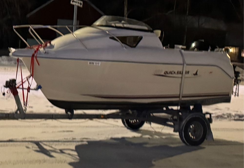 Quicksilver Mercury 50 EFI